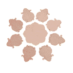 rangoli cutout design